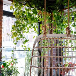 rustic home decor